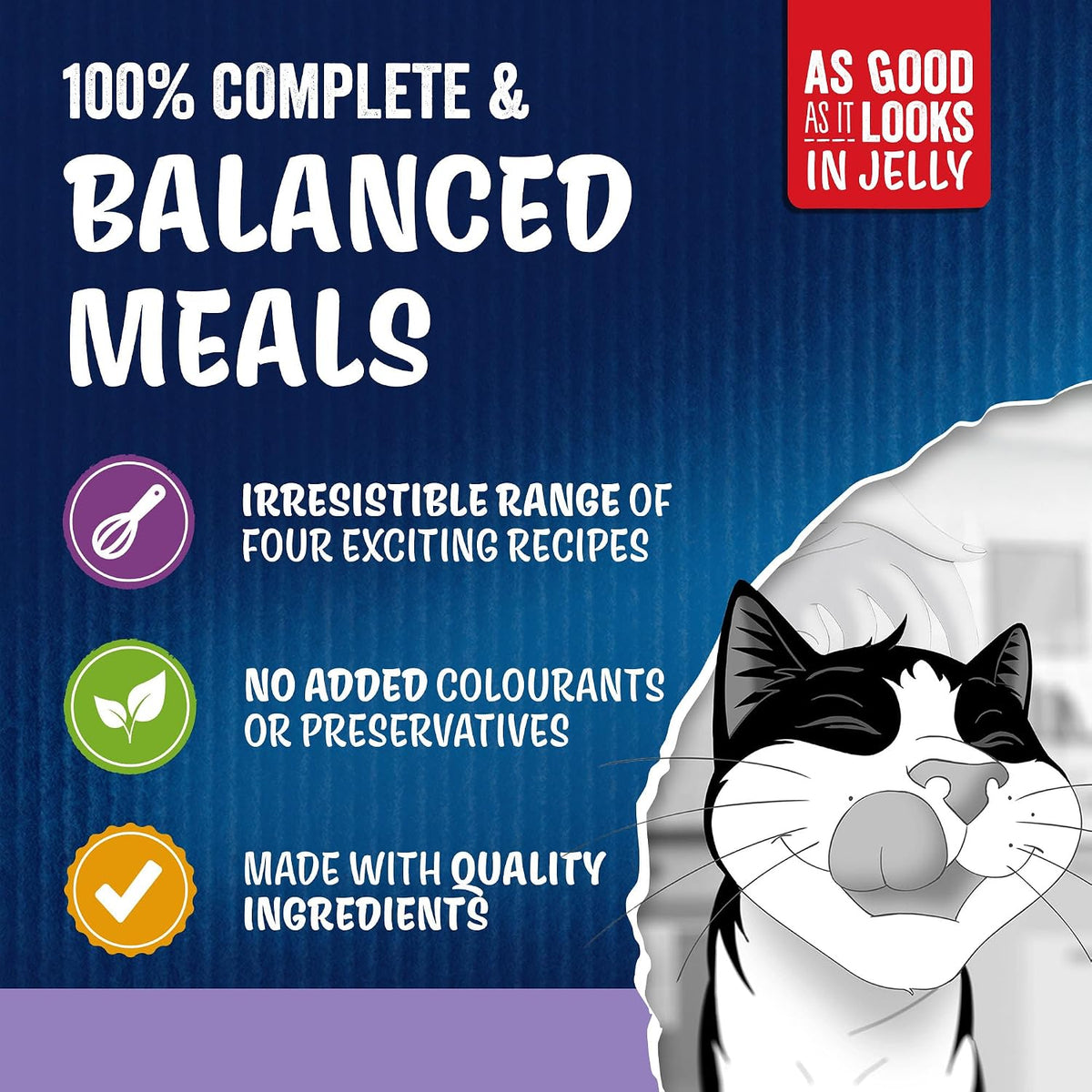 FELIX As Good As It Looks Senior 7+ Mixed in Jelly Wet Cat Food – 120 x 85g