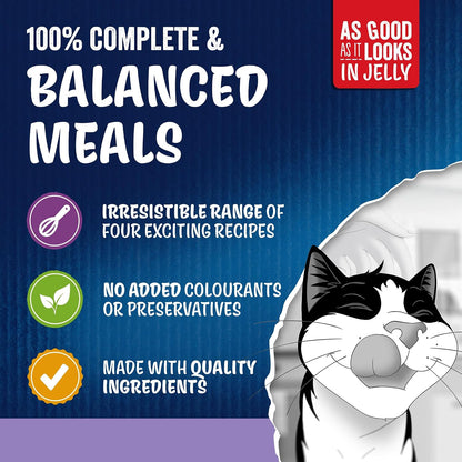 FELIX As Good As It Looks Senior 7+ Mixed in Jelly Wet Cat Food – 120 x 85g